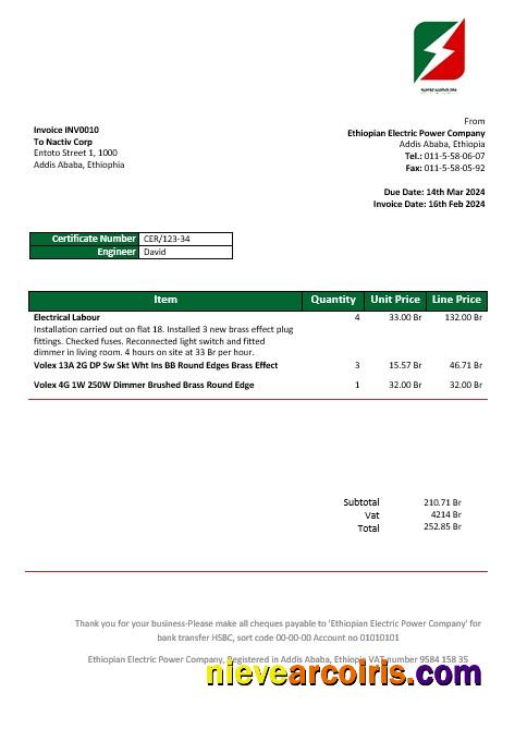 Ethiopia Ethiopian Electric Power Company electricity business utility bill